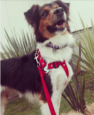 Foto de LUPE